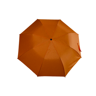 Eva Straight Handle Foldable Auto Umbrella with Pouch