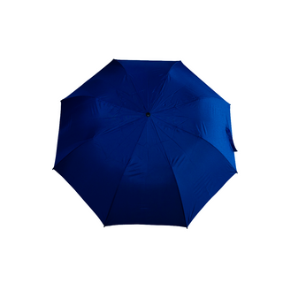 Eva Straight Handle Foldable Auto Umbrella with Pouch