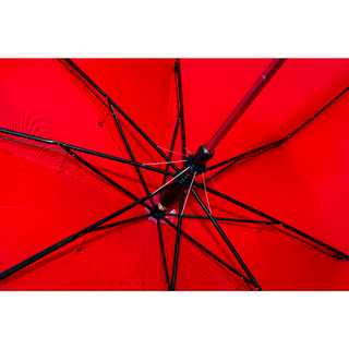Eva Straight Handle Foldable Auto Umbrella with Pouch