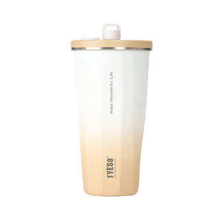 470ml TYESO Vacuum Tumbler BD03