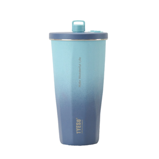 470ml TYESO Vacuum Tumbler BD03