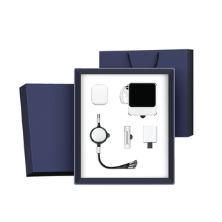 Business Cable Gift Set