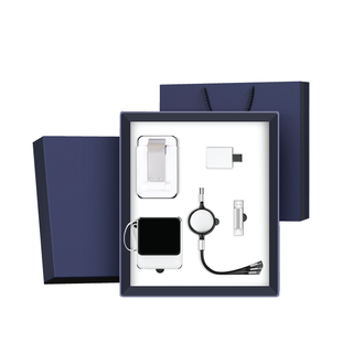Business Cable Gift Set