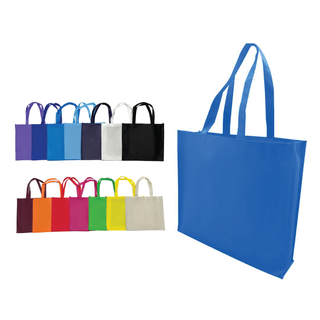 Non Woven Bag NW016