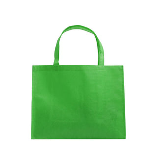 Non Woven Bag NW233