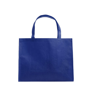 Non Woven Bag NW233