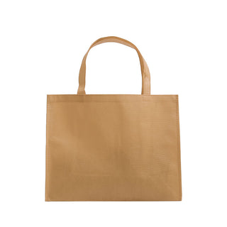 Non Woven Bag NW233