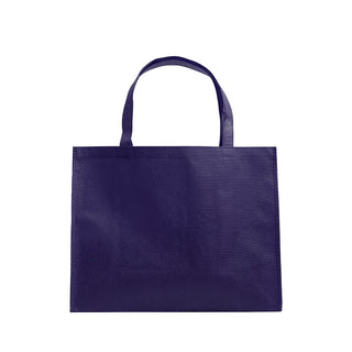 Non Woven Bag NW233