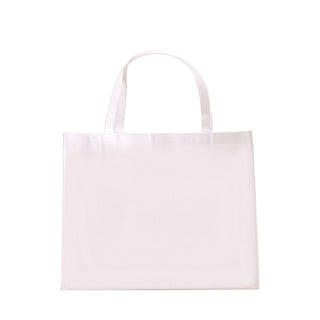 Non Woven Bag NW233