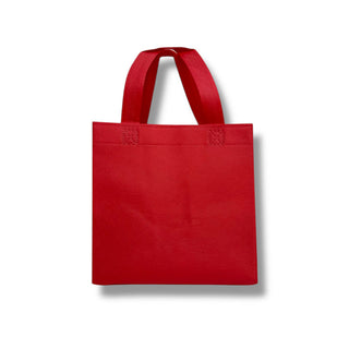 Non Woven bag NW295